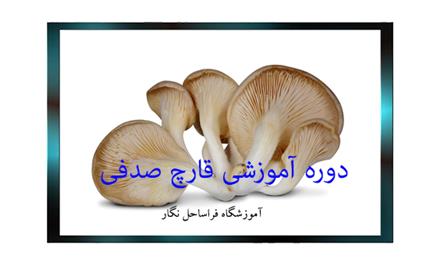 دوره آموزشی پرورش قارچ صدفی