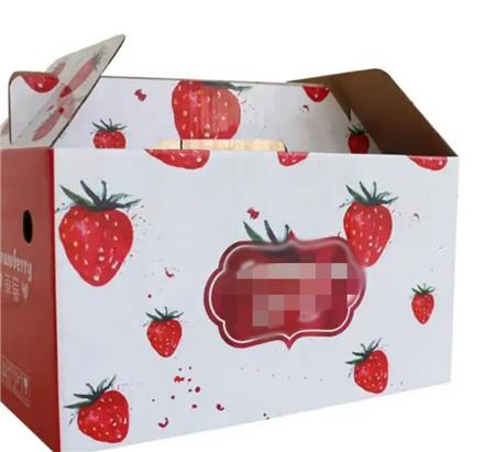 کارتن سازی و جعبه سازی