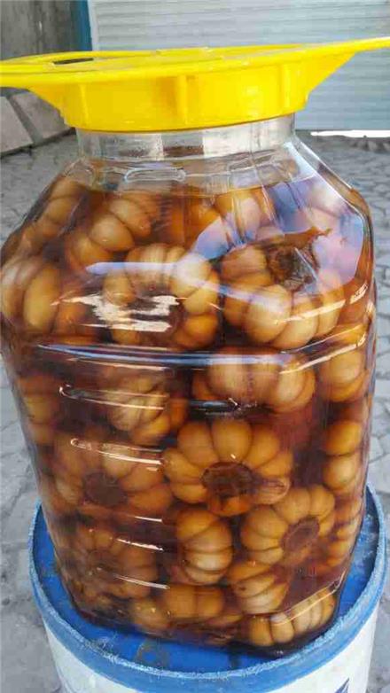 فروش سیرترشی
