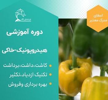دوره آموزشی کشت گلخانه هیدروپونیک