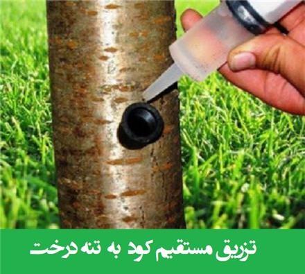 دفع کامل کرم خراط و رفع سیاه شدن مغز گردو