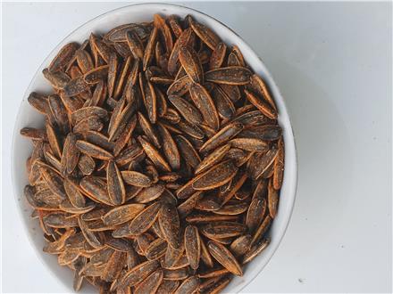 شور کاری تخمه و آجیل